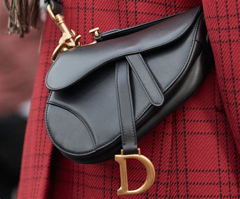 lady dior or saddle bag|Dior saddle bag price list.